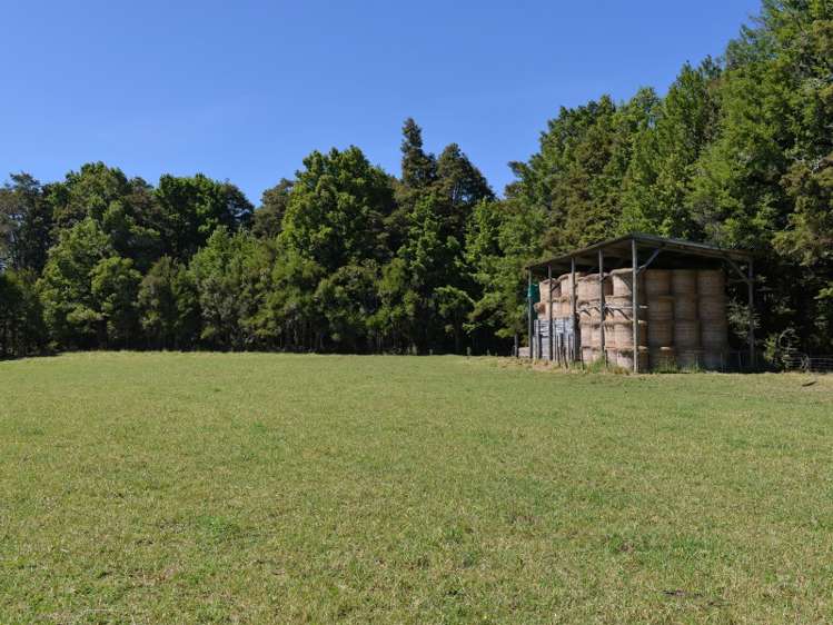 115 Howard Valley Road Kahurangi National Park_18