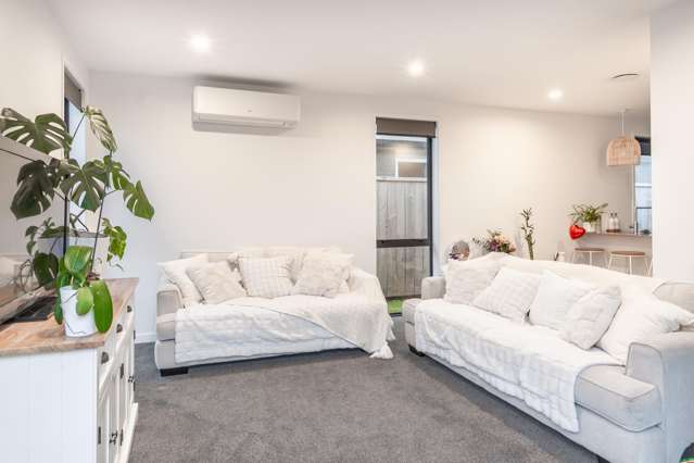 21 Oioi Lane Poike_4