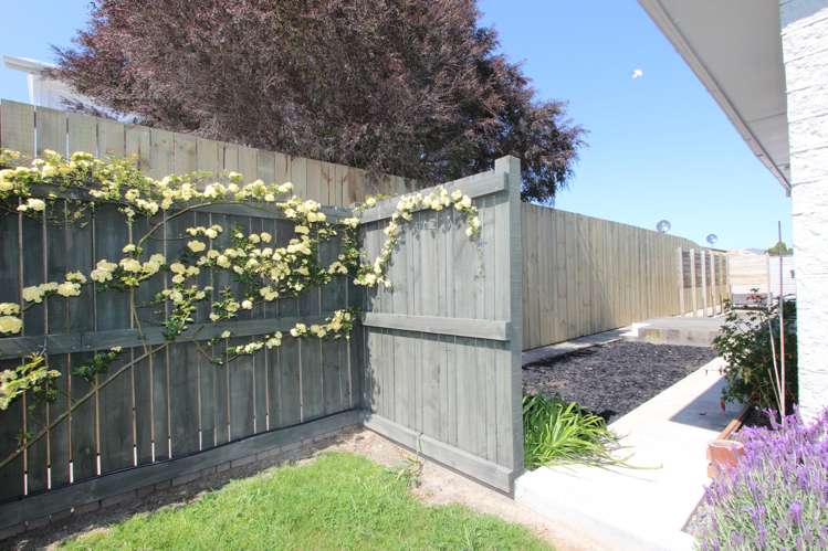 10A Budge Street Blenheim_20