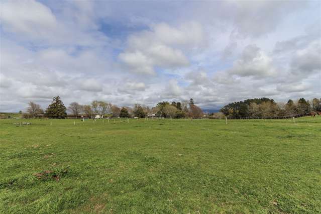 89 Rimutauteka Road Inglewood_4