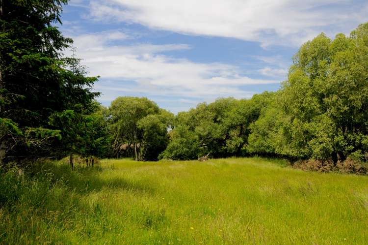 92 Maytown Road Waimate_15