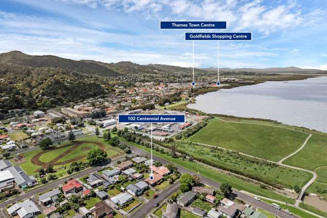 102 Centennial Avenue Thames_1