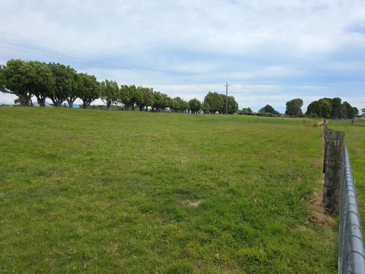 125 Golf Links Road Ruatapu_14