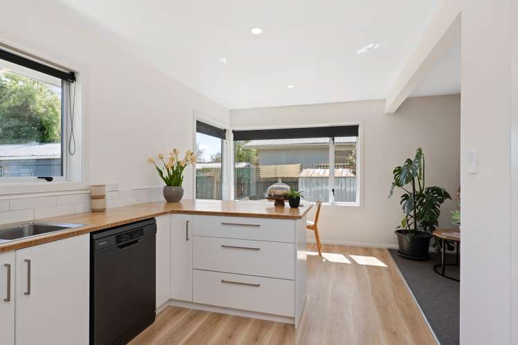 19 Eglinton Street Avondale_7