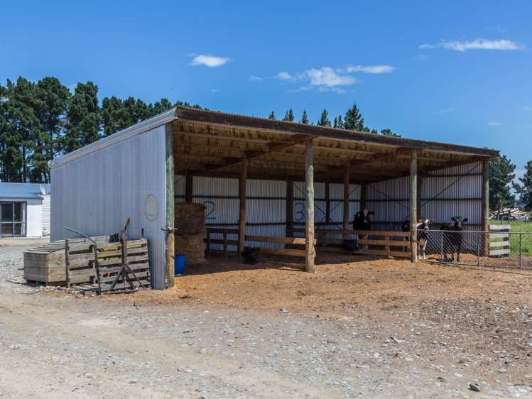 1403 South Eyre Road Swannanoa_22