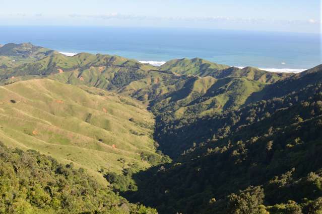 Marokopa forestry or grazing