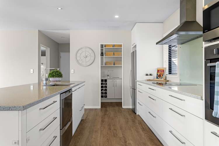 48 Tupelo Place Swannanoa_5