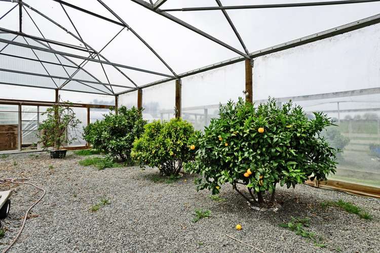 78 East Road Ascot_25