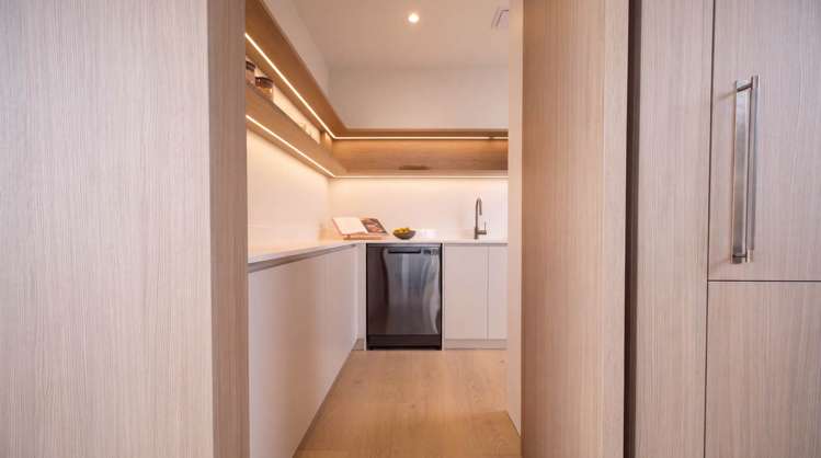 40 Rose Road Grey Lynn_5