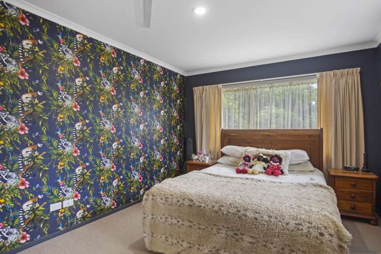 1 Twickenham Close Katikati_9