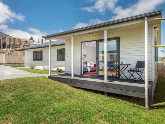 18a Ellis Avenue Mount Roskill_3