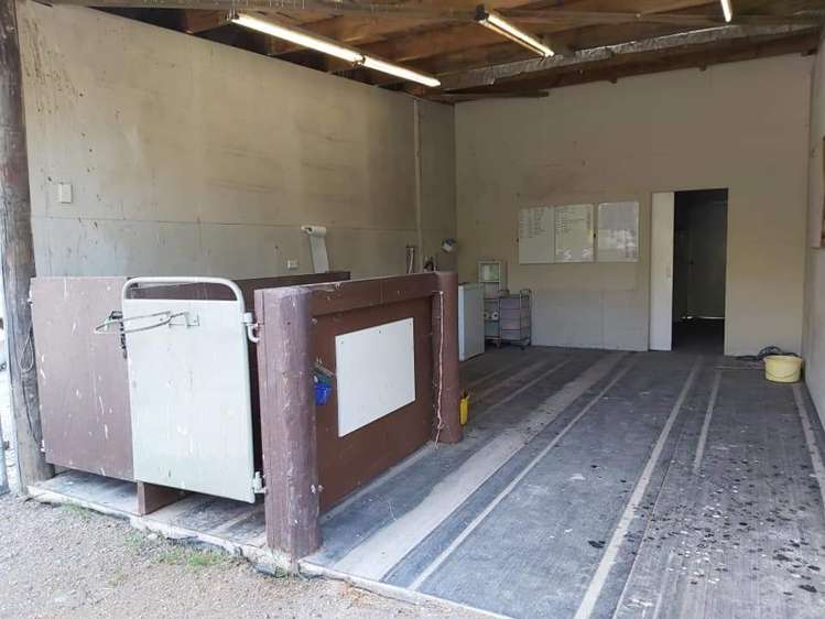 367 Wakefield-Kohatu Highway Wakefield_18