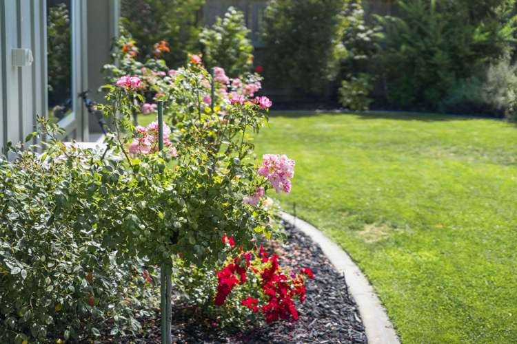 3 Kohia Place Wharewaka_8