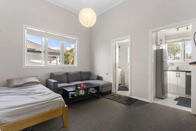 77 Lincoln Street Ponsonby_4
