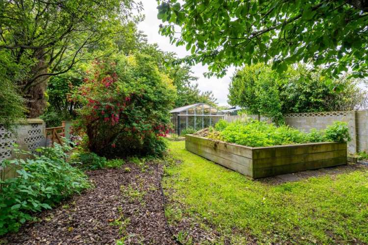 19 White Street Newfield_22