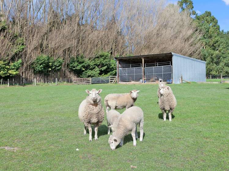 705 Hills Road Marshland_17