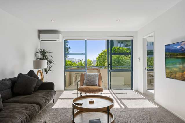 222/3 Maunganui Road Mt Maunganui_4