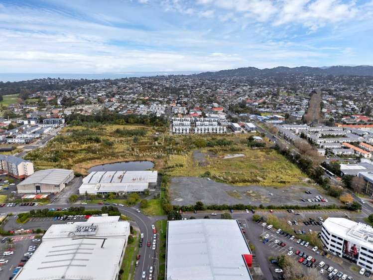 29 Crown Lynn Place New Lynn_2