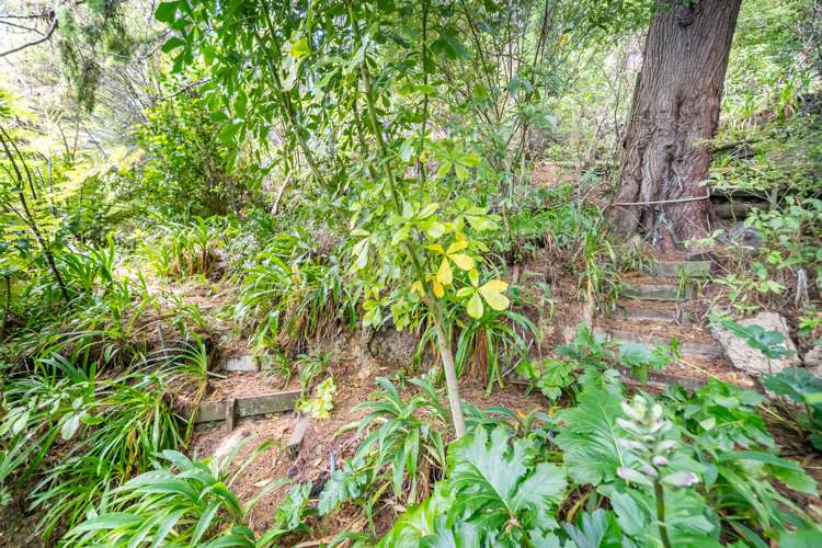 58 Jocelyn Crescent Pinehaven_24