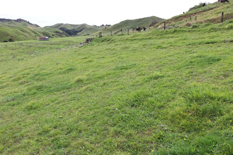 292 Gordon Road Toko_10