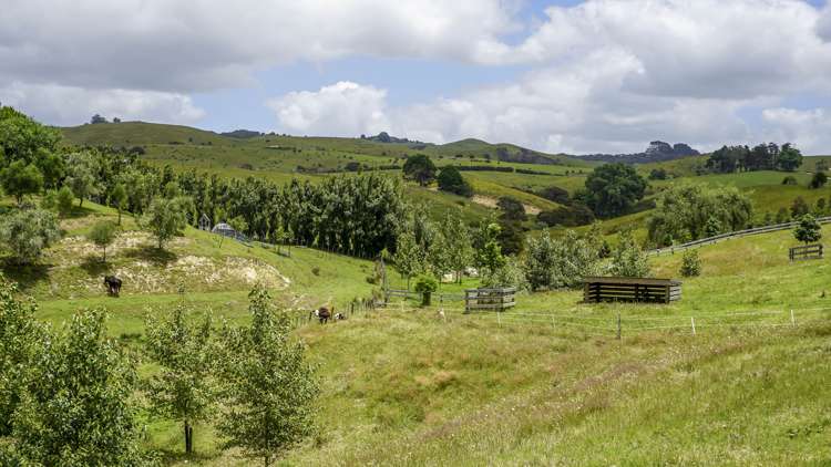 683 Back Miranda Road Miranda_9