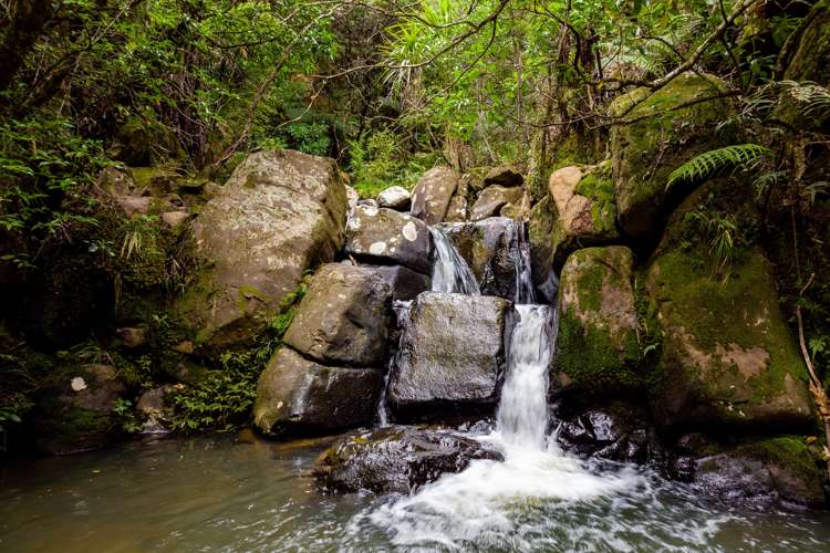 6754 State Highway 12 Waimamaku_17