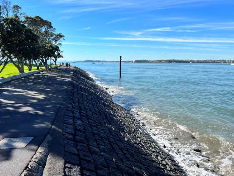 3/17a Church Street Devonport_15