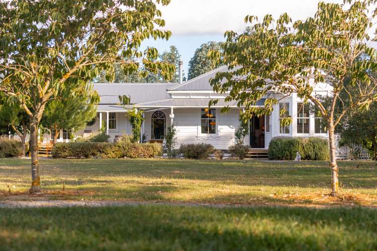 247 Cross Line Greytown_0