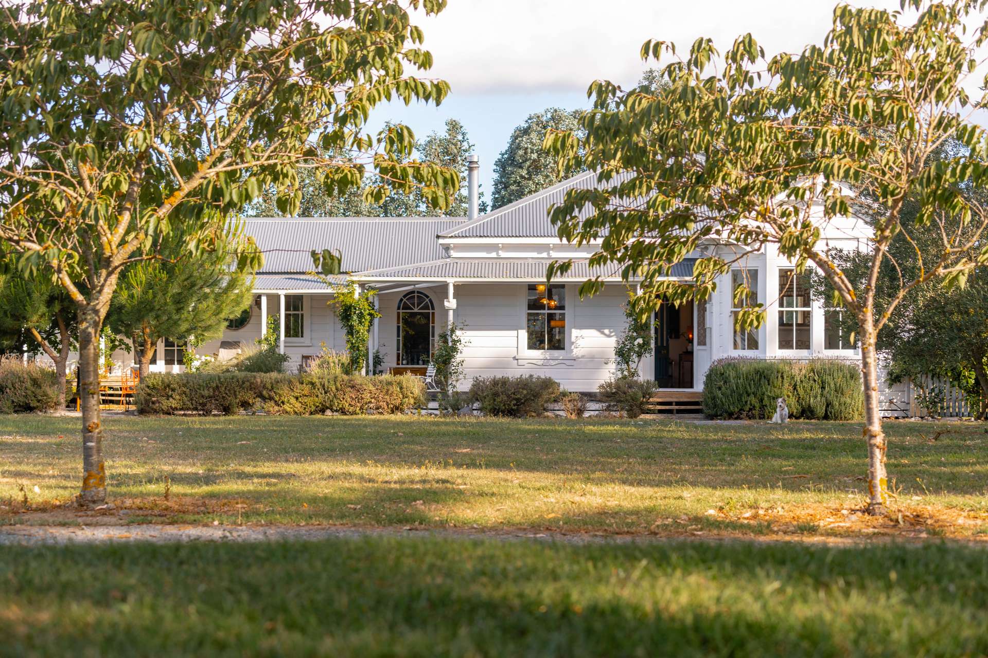 247 Cross Line Greytown_0