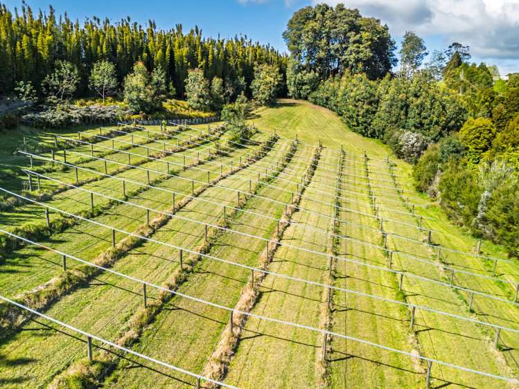 43e Blue Gum Lane Kerikeri_11