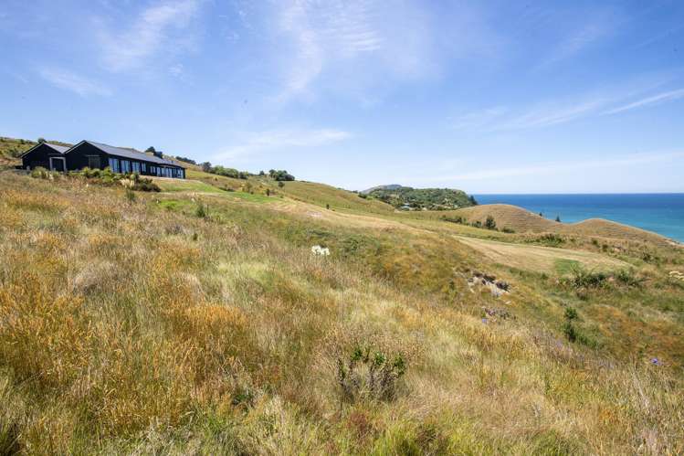 91 Winifred Street Okitu_16