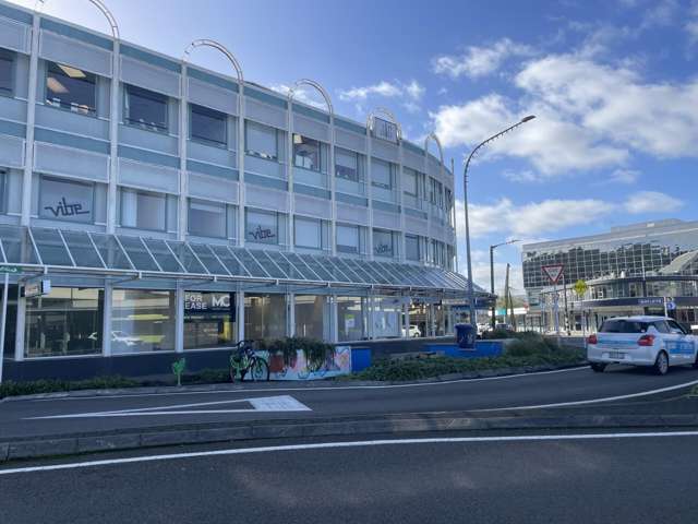 119 Queens Drive Hutt Central_4