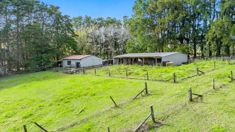 200 Awa Road Kumeu_24