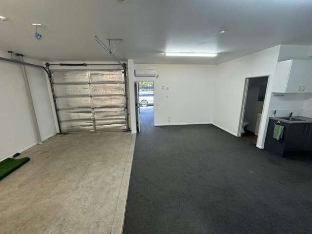 167E Waltham Road Sydenham_1