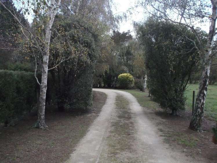 129 Sydney Terrace Takapau_20