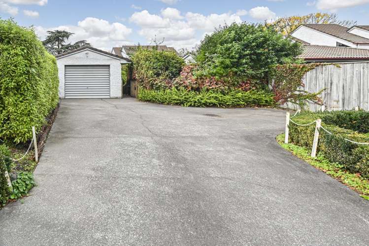 507a Fitzroy Avenue Hastings_13