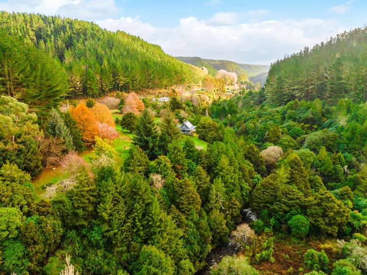 2005 Ongarue Stream Road Waimiha_19