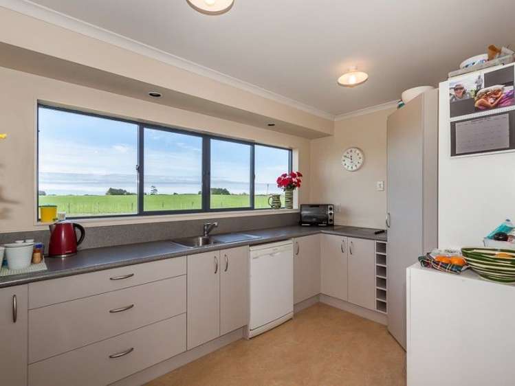 361 Whales Line Marton_11