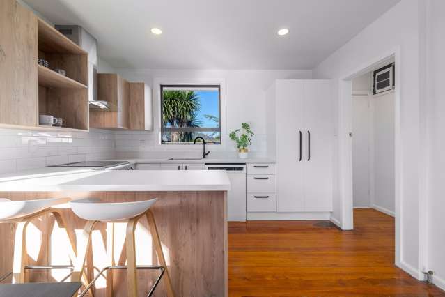 8 Trevor Street Hornby_2