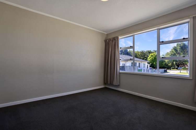 56 David Street Hinds_9