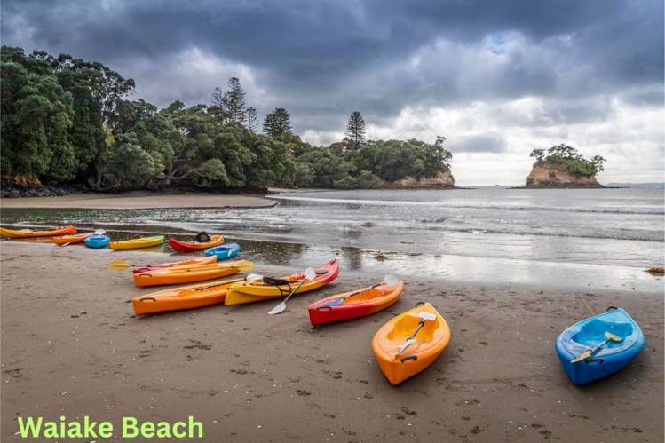 1/957a Beach Road Torbay_18