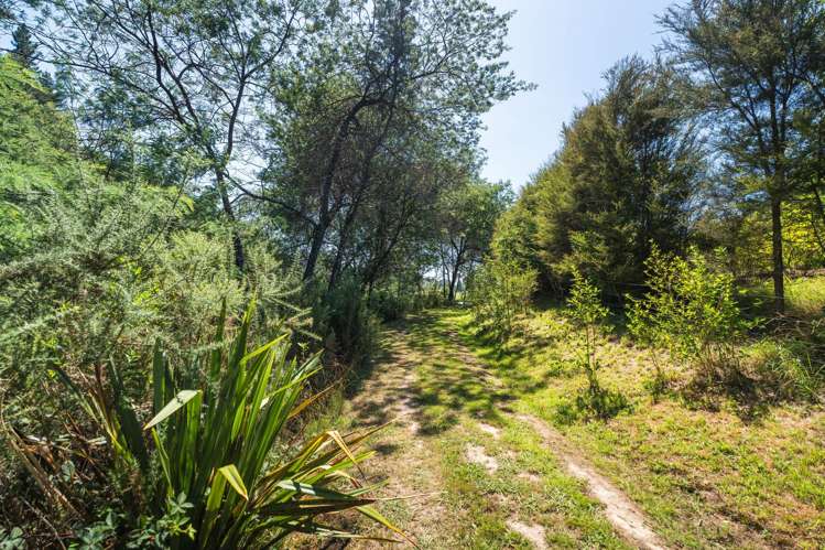 390 Motueka River West Bank Road Motueka_29