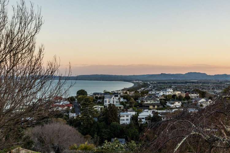 10 Lighthouse Road Bluff Hill_15