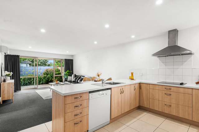 31C Morrison Avenue Northcote_2