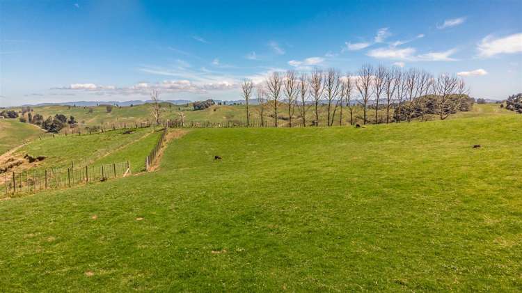 80a Mangaotaki Road Piopio_53