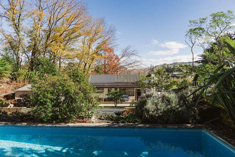 164 Hill Road Eskdale_5