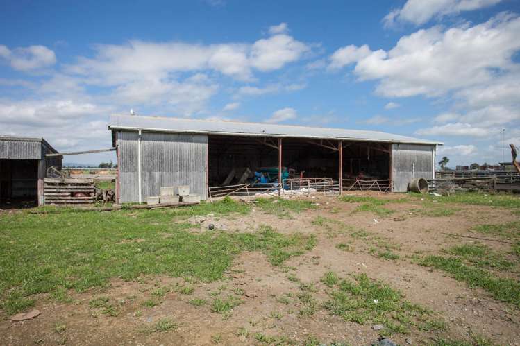 1067 Hauraki Road Paeroa_7