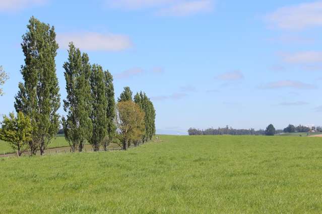 49 McCully Road Temuka_4