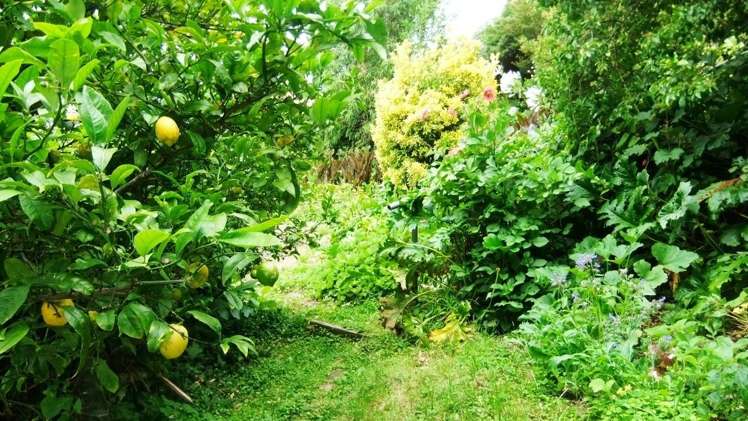 5d/20 Maarama Crescent Aro Valley_10