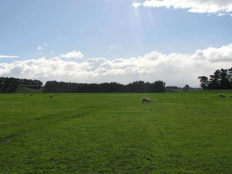 168c Hinakura Road Martinborough_7